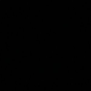 Meet your Posher, Bryce